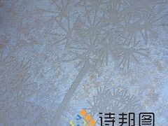 中國新型環(huán)保建材--買優(yōu)惠的綠色建材,就來詩邦圖-詩邦圖(中國)品牌運(yùn)營總部提供中國新型環(huán)保建材--買優(yōu)惠的綠色建材,就來詩邦圖的相關(guān)介紹、產(chǎn)品、服務(wù)、圖片、價(jià)格肌理漆、肌理壁膜、福建肌理漆、肌理壁膜漆代理、硅藻泥廠家、肌理液體壁紙、